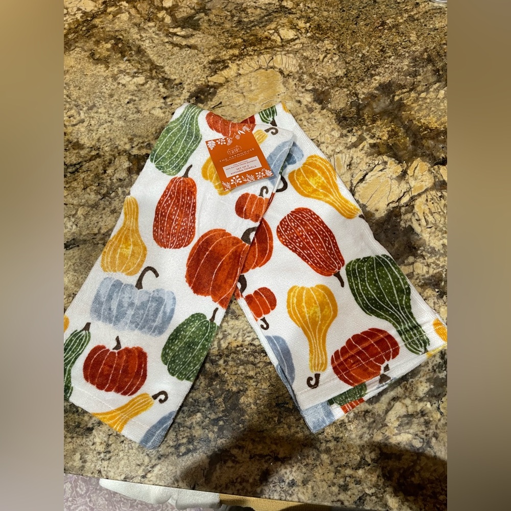 Farmhouse by Rachel Ashwell Kitchen Towel set - Ghourds, pumpkins - Brand new